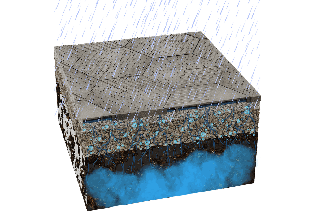 Design sans titre-2.webp